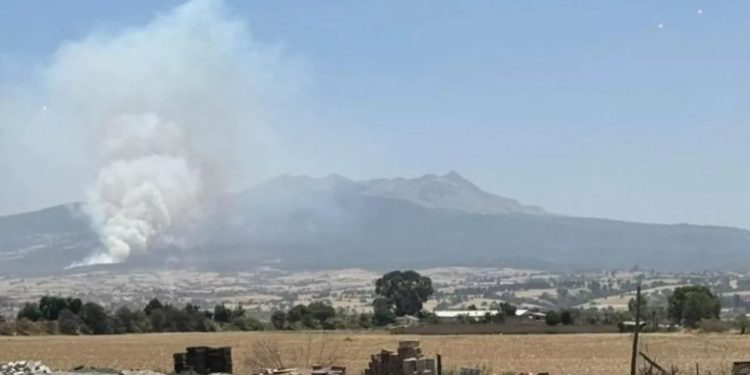 Se registra fuerte incendio forestal en el Nevado de Toluca, Edomex; bomberos intentan sofocarlo