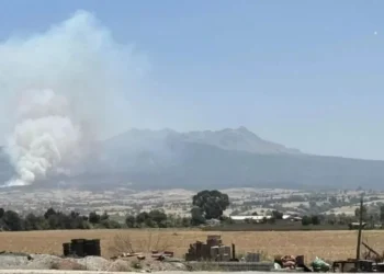 Se registra fuerte incendio forestal en el Nevado de Toluca, Edomex; bomberos intentan sofocarlo
