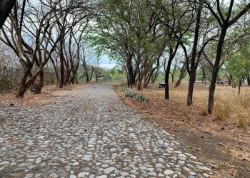 Gobierno del Estado impulsará la recuperación ambiental y comunitaria del Parque ‘El Rodeo’ en Colima