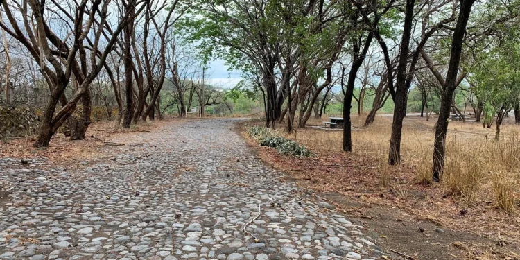 Gobierno del Estado impulsará la recuperación ambiental y comunitaria del Parque ‘El Rodeo’ en Colima