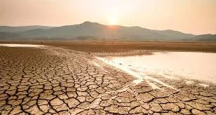 Confirman 114 incendios forestales activos en México por sequía extrema