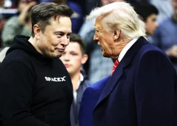 Elon Musk dejará a Donald Trump para enfocarse en Tesla tras caída del 71 %