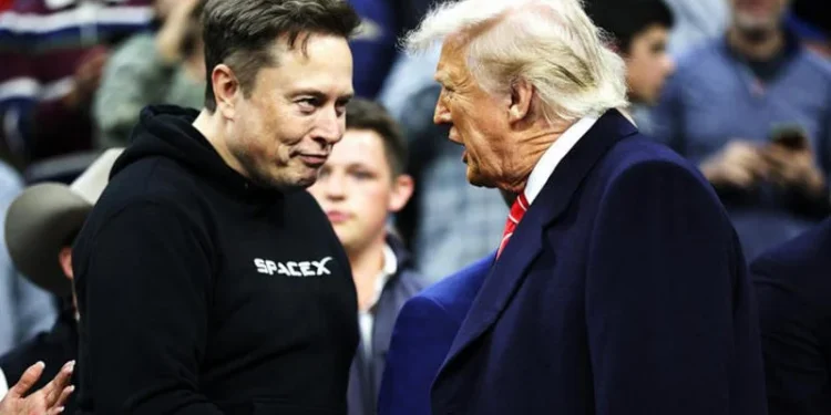 Elon Musk dejará a Donald Trump para enfocarse en Tesla tras caída del 71 %