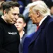 Elon Musk dejará a Donald Trump para enfocarse en Tesla tras caída del 71 %