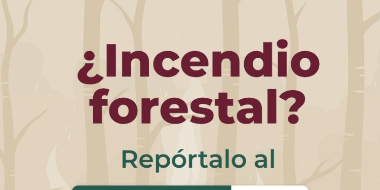 Imades Colima llama a prevenir incendios forestales en Semana Santa y Pascua