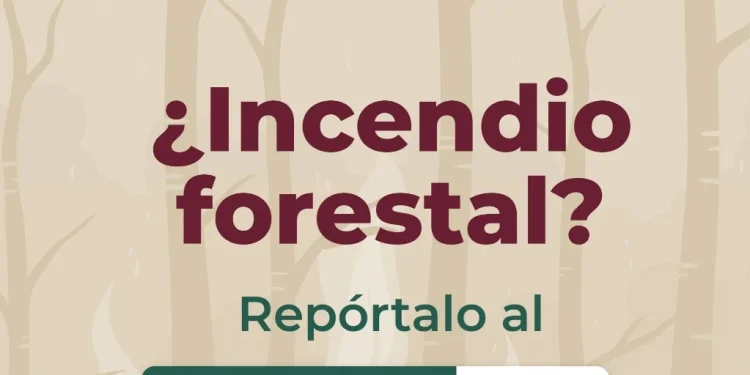 Imades Colima llama a prevenir incendios forestales en Semana Santa y Pascua