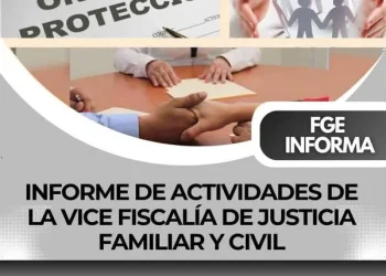 Informe de actividades de la Vice Fiscalía de Justicia Familiar y Civil FGE