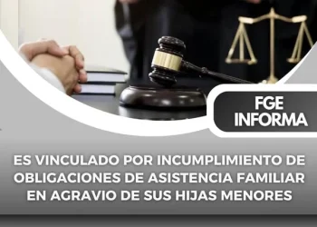 Es vinculado por incumplimiento de obligaciones de asistencia familiar en agravio de sus hijas menores FGE