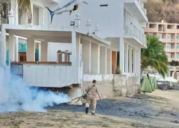 Secretaría de Salud fumiga esta semana en Colima, Manzanillo y Villa de Álvarez