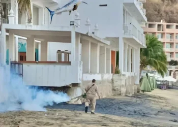 Secretaría de Salud fumiga esta semana en Colima, Manzanillo y Villa de Álvarez