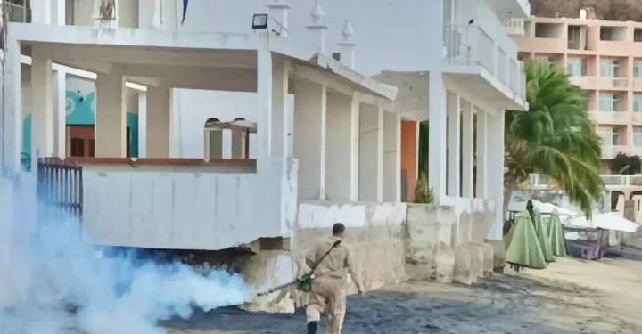 Secretaría de Salud fumiga esta semana en Colima, Manzanillo y Villa de Álvarez