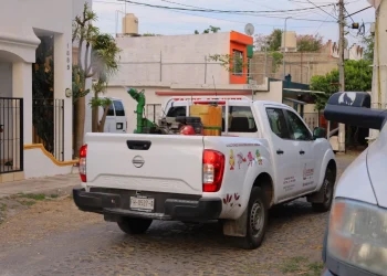 Salud Colima fumiga contra el dengue en Armería, Tecomán y Manzanillo