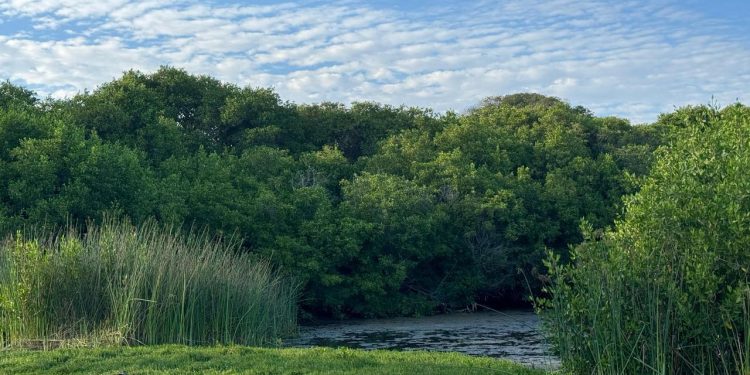 Imades invita a disfrutar de la naturaleza con responsabilidad en estas vacaciones