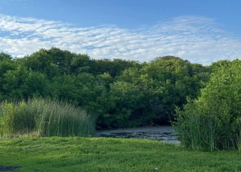 Imades invita a disfrutar de la naturaleza con responsabilidad en estas vacaciones