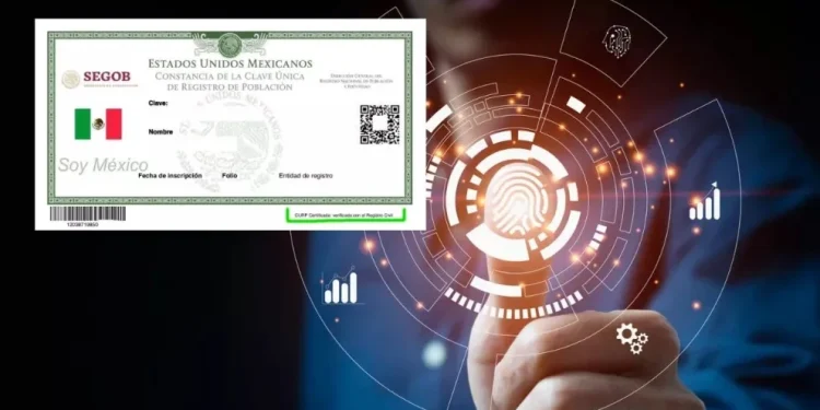 La nueva CURP se podrá utilizar como Identificación Oficial en México