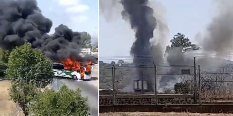 Fiscal General supervisa trabajos de fosas localizadas en Colima FGE