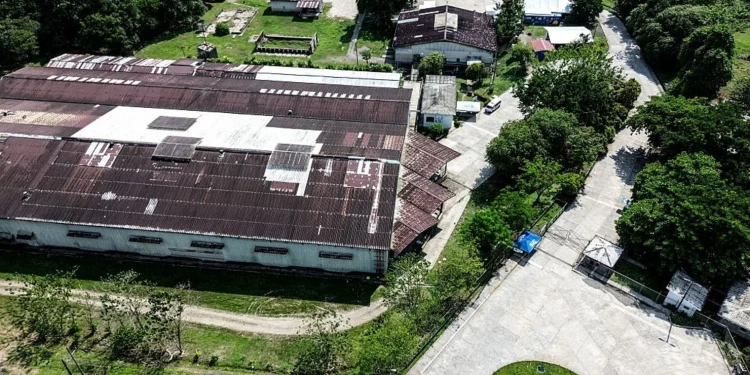 Migrantes de China deportados por EE.UU. comienzan proceso de refugio en Costa Rica