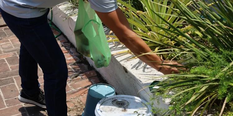 Salud Colima mantiene estable el dengue en el estado