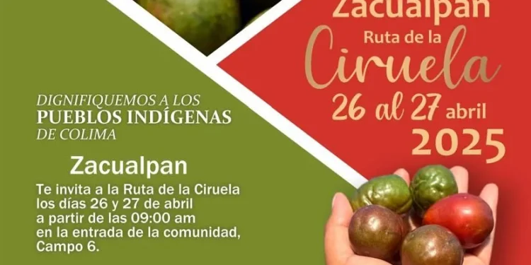 Invita diputado Alfredo Álvarez a bicipaseo y ruta de la ciruela en Zacualpan