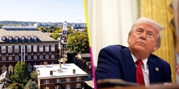 Harvard demanda a Trump por recortes de fondos y defensa de la libertad académica