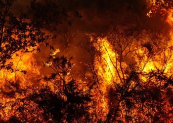 Voraz incendio en Israel provoca evacuaciones en varias comunidades