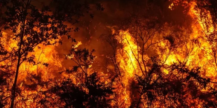 Voraz incendio en Israel provoca evacuaciones en varias comunidades