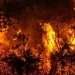 Voraz incendio en Israel provoca evacuaciones en varias comunidades