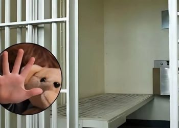 Pagaba a madres y padres para que abusaran de sus propios hijos; pasará más de 100 años en prisión