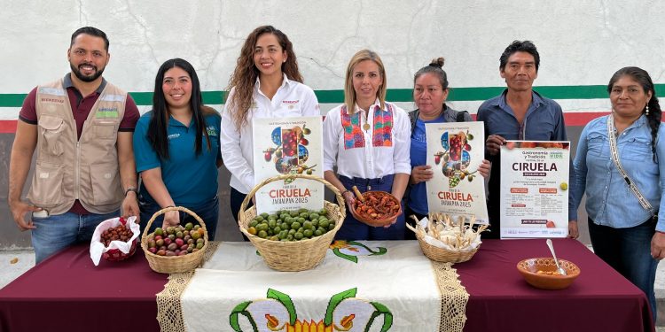 El programa Sembrando Vida invita a la Feria de la Ciruela Zacualpan 2025, el 17 y 18 de mayo