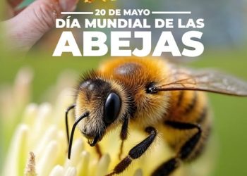 H Congreso del Estado de Colima. 20 DE MAYO DÍA MUNDIAL DE LAS ABEJAS