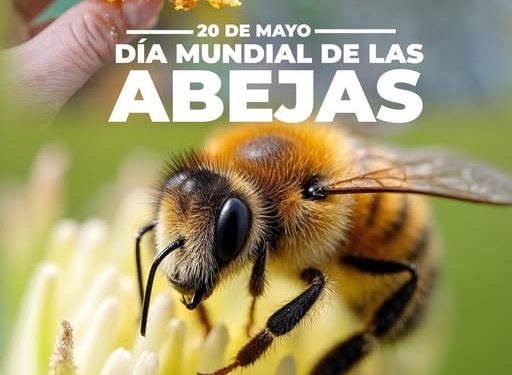 H Congreso del Estado de Colima. 20 DE MAYO DÍA MUNDIAL DE LAS ABEJAS