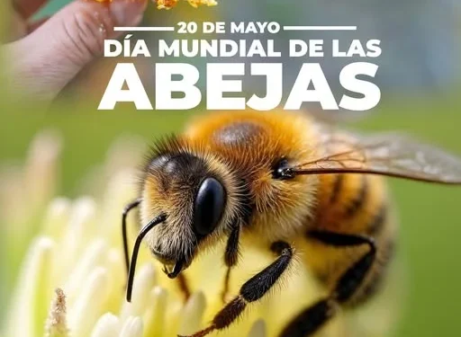 H Congreso del Estado de Colima. 20 DE MAYO DÍA MUNDIAL DE LAS ABEJAS