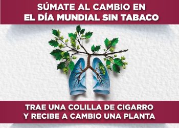 HOY DIF MANZANILLO CAMBIARÁ COLILLAS DE CIGARRO POR PLANTAS