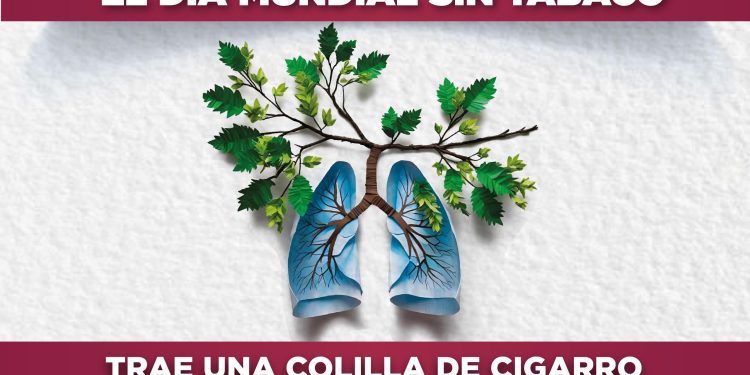 HOY DIF MANZANILLO CAMBIARÁ COLILLAS DE CIGARRO POR PLANTAS