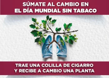 HOY DIF MANZANILLO CAMBIARÁ COLILLAS DE CIGARRO POR PLANTAS