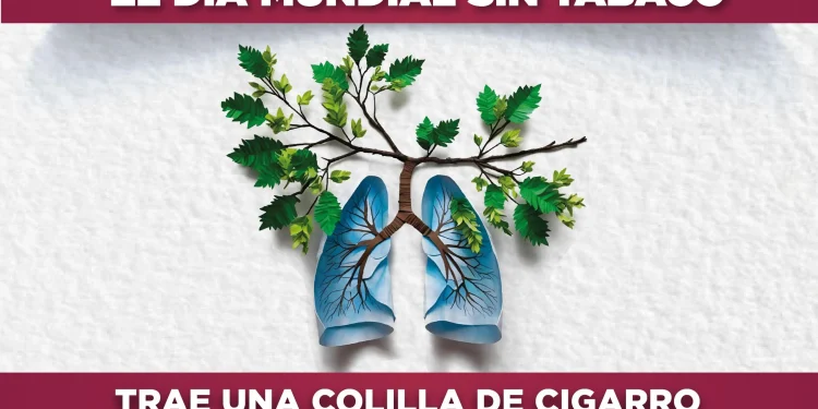 HOY DIF MANZANILLO CAMBIARÁ COLILLAS DE CIGARRO POR PLANTAS