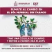 HOY DIF MANZANILLO CAMBIARÁ COLILLAS DE CIGARRO POR PLANTAS