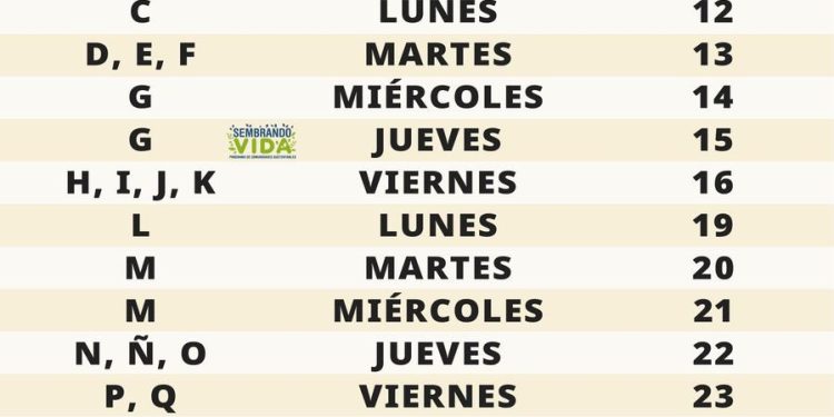 Calendario de pago del bimestre mayo-junio de las PensionesBienestar y del programa MadresTrabajadoras
