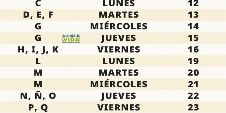 Calendario de pago del bimestre mayo-junio de las PensionesBienestar y del programa MadresTrabajadoras