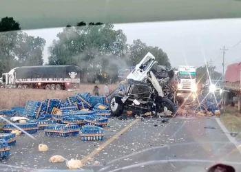 Tragedia y rapiña en Quecholac: vuelca tráiler con pollos y deja dos muertos en carretera Acatzingo-El Seco