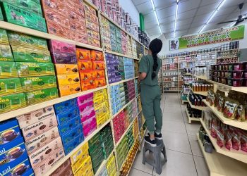 Colima, entre los primeros lugares en generación de empleo formal y mejora del mercado laboral