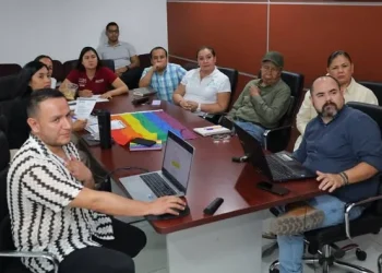 H Congreso del Estado de Colima. Se lleva a cabo reunion para analizar áreas de oportunidad en materia Legislativa en beneficio de la comunidad LGBTQI+
