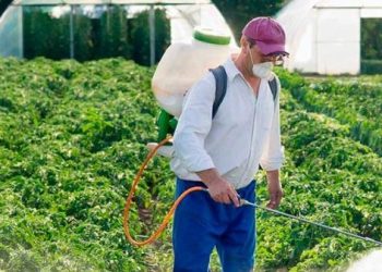 Coespris informa sobre el fortalecimiento del control de plaguicidas y sustancias químicas mediante el proceso PLAFEST