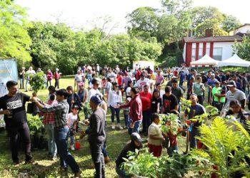 H Congreso del Estado de Colima. Jornada de Reforestación 2025