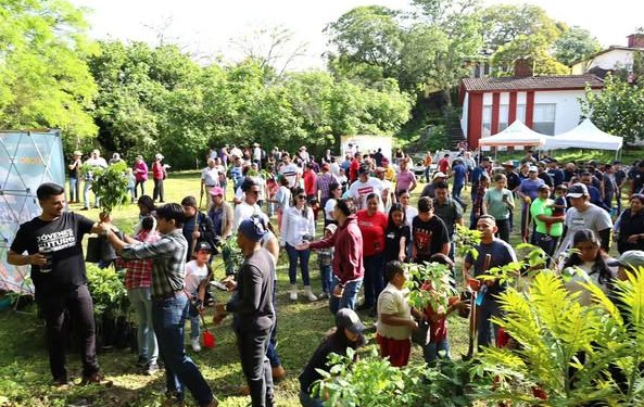 H Congreso del Estado de Colima. Jornada de Reforestación 2025