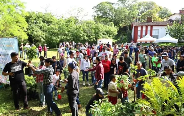 H Congreso del Estado de Colima. Jornada de Reforestación 2025