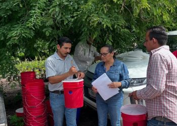 Gobierno del Estado de Colima coadyuva a control de plaga Picudo Negro del Cocotero