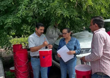 Gobierno del Estado de Colima coadyuva a control de plaga Picudo Negro del Cocotero