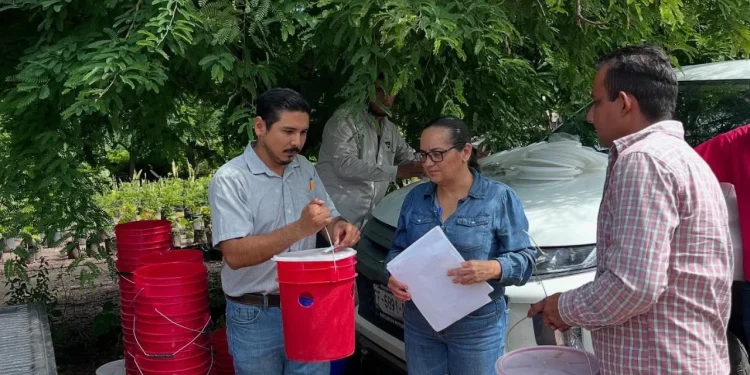 Gobierno del Estado de Colima coadyuva a control de plaga Picudo Negro del Cocotero