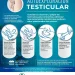 Exhorta IMSS Colima a hombres a prevenir cáncer testicular con autoexploración